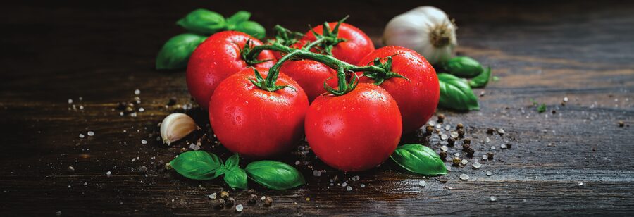 Tomates italianos frescos